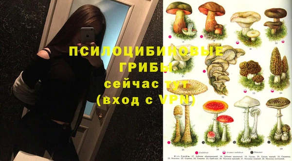 крисы Верхний Тагил