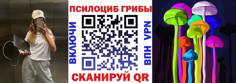 где найти   Выкса  Псилоцибиновые грибы мухоморы 